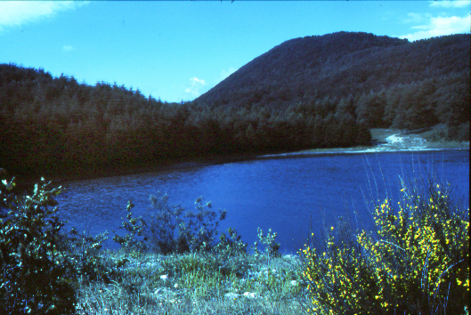 LAGO PENNA